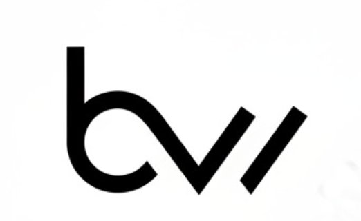 blackenvyt logo